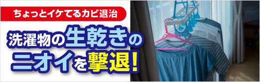 ƃCPĂJrގ 󕨂̐̃jIC