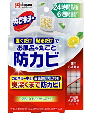 JrL[CɒuhJrWF ₳VgX̍ {