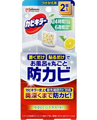 JrL[CɒuhJrWF ₳VgX̍ p